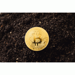 Start a Bitcoin Atm Business