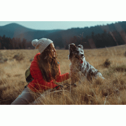 Why You Need Pet Insurance with USAA