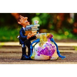How to Flip Your Income Tax